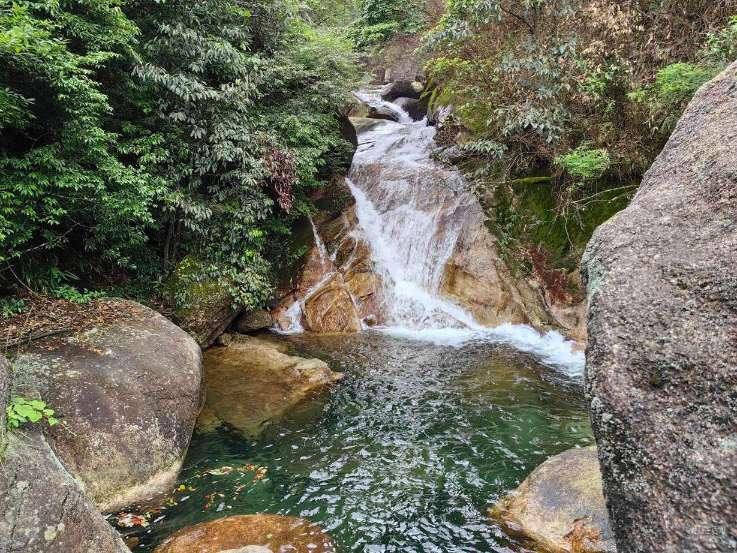 种粮农民“好卖粮”是实现颗粒归仓饭碗更牢
