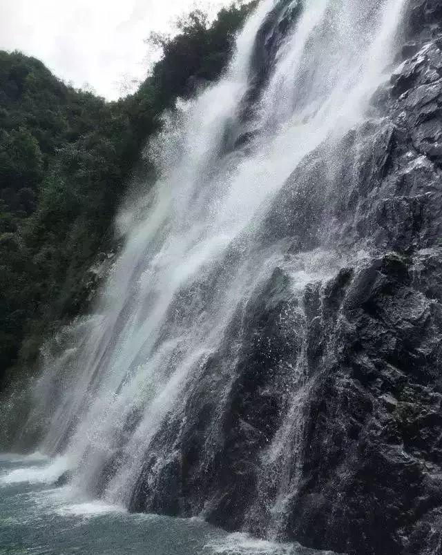 沪江开心词场